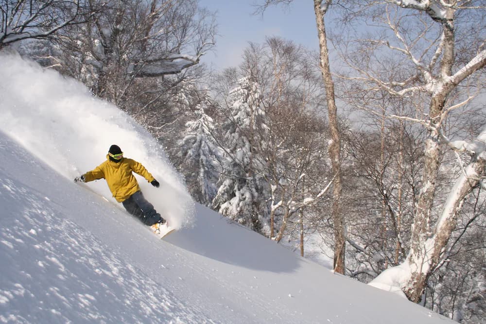 Skiing