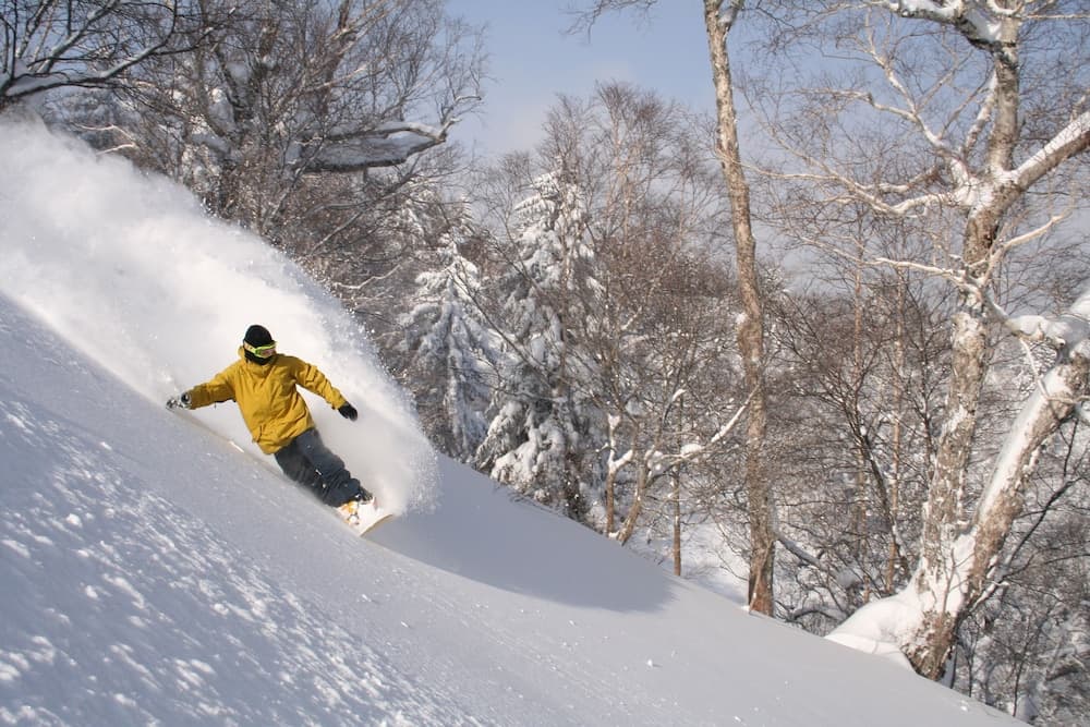 Skiing