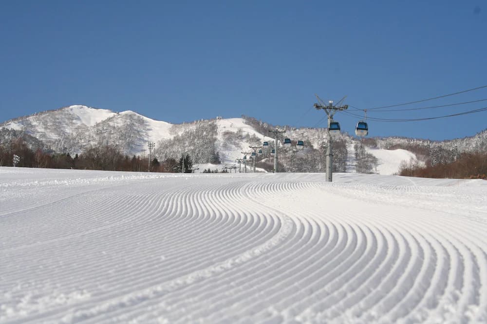 Skiing