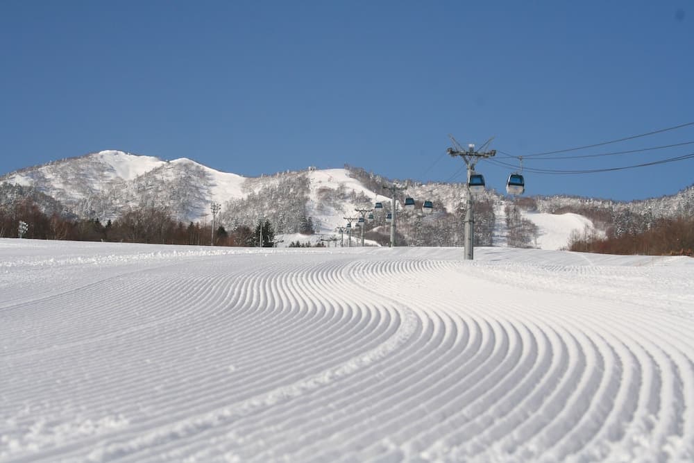 Skiing