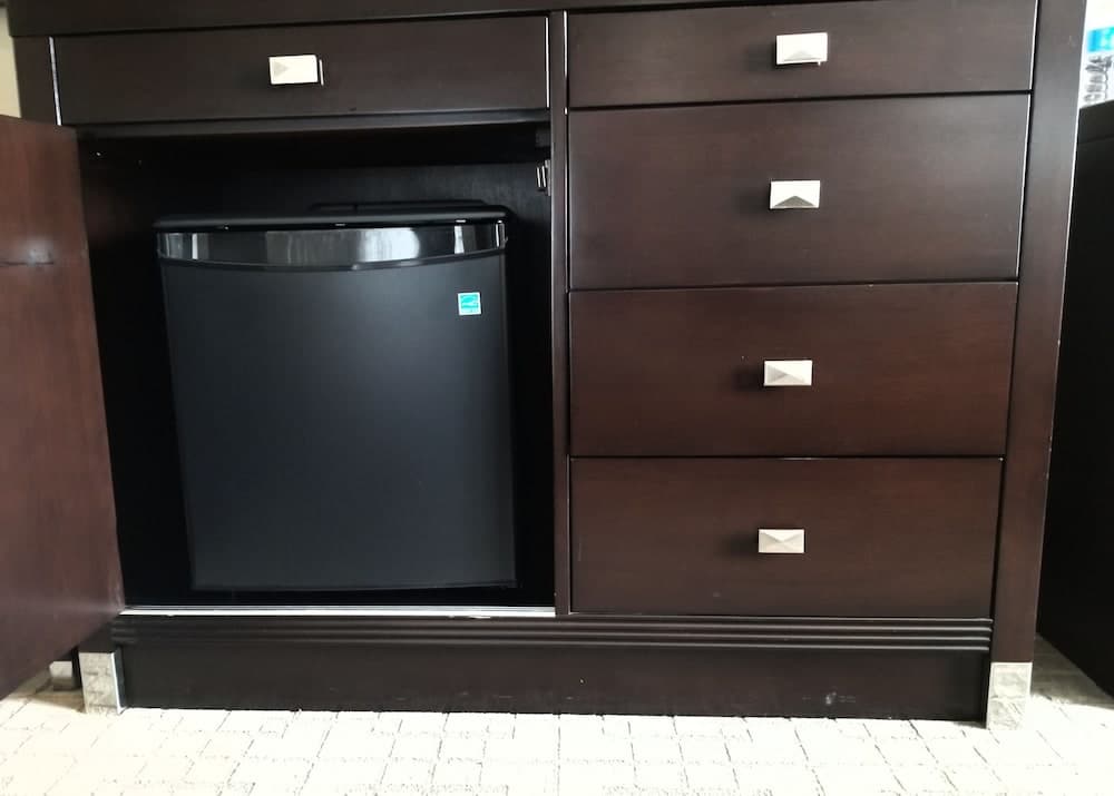 Mini-refrigerator