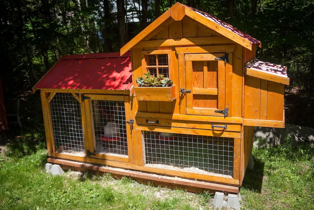Pet-friendly