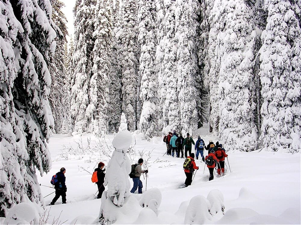 Snow and ski sports