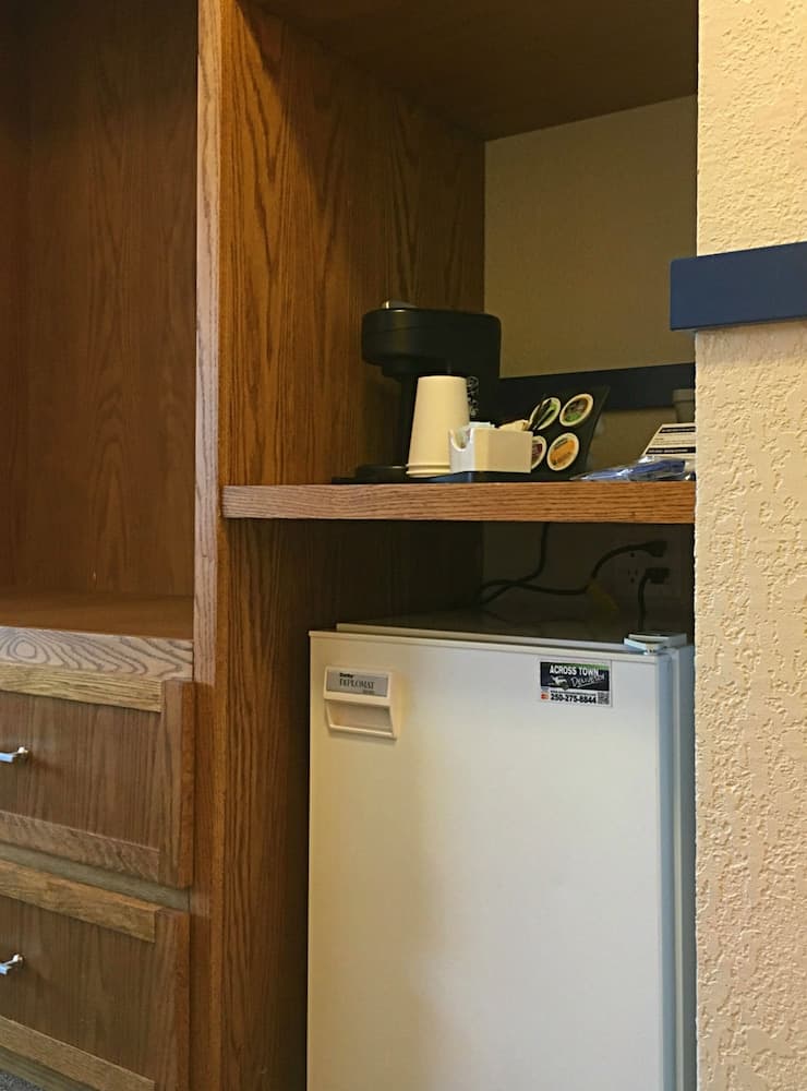 Mini-refrigerator