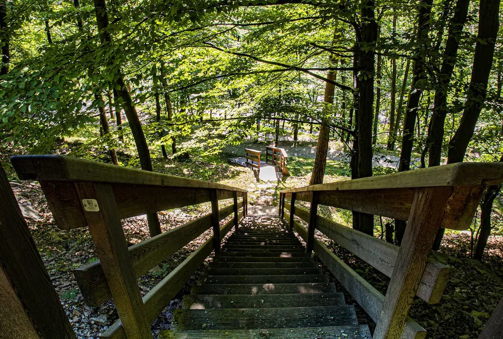 Hiking