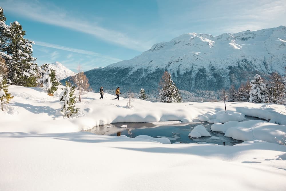 Snowshoeing