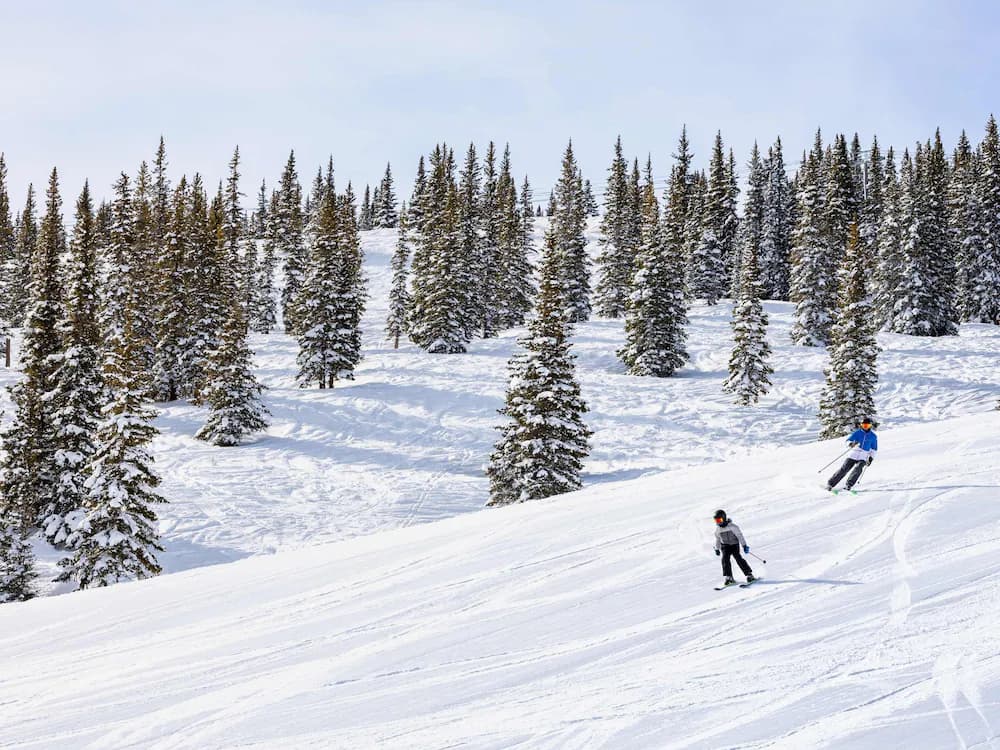 Skiing