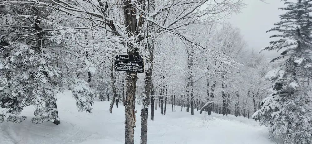 Snow and ski sports