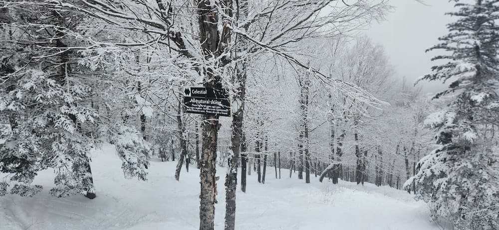 Snow and ski sports