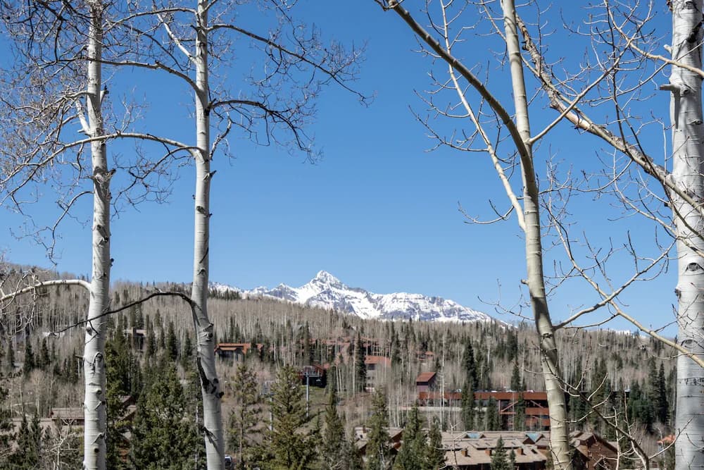 Mountain view