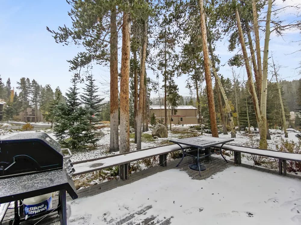 BBQ/picnic area