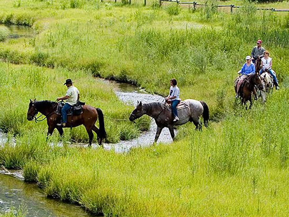 Horseback riding