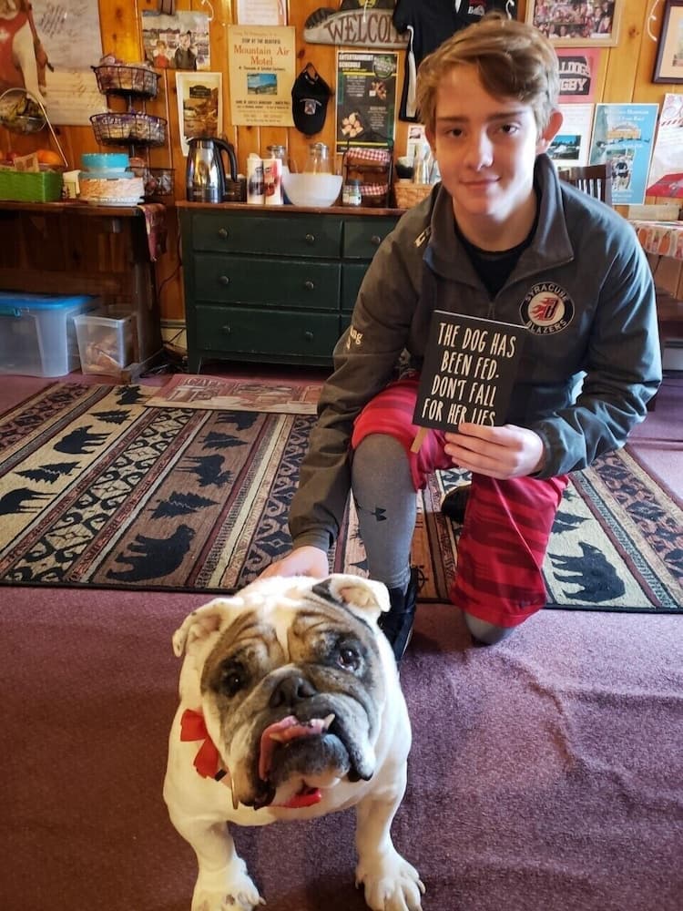 Pet-friendly