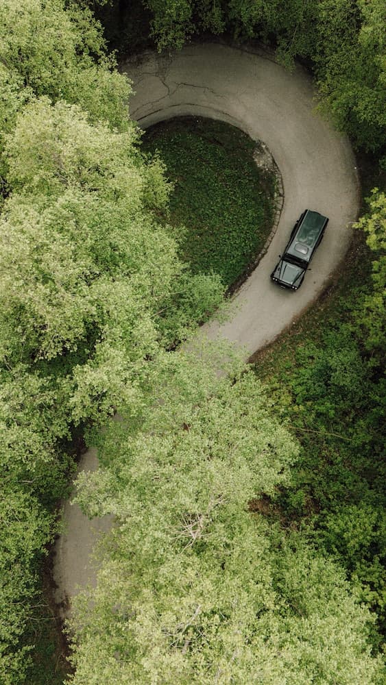 Park view