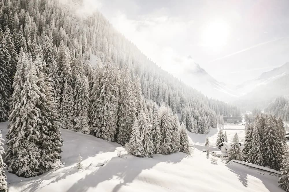 Mountain view