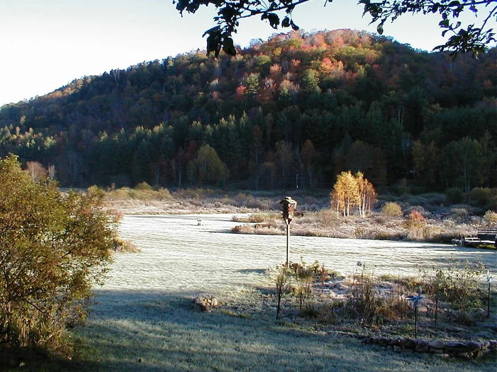 Mountain view