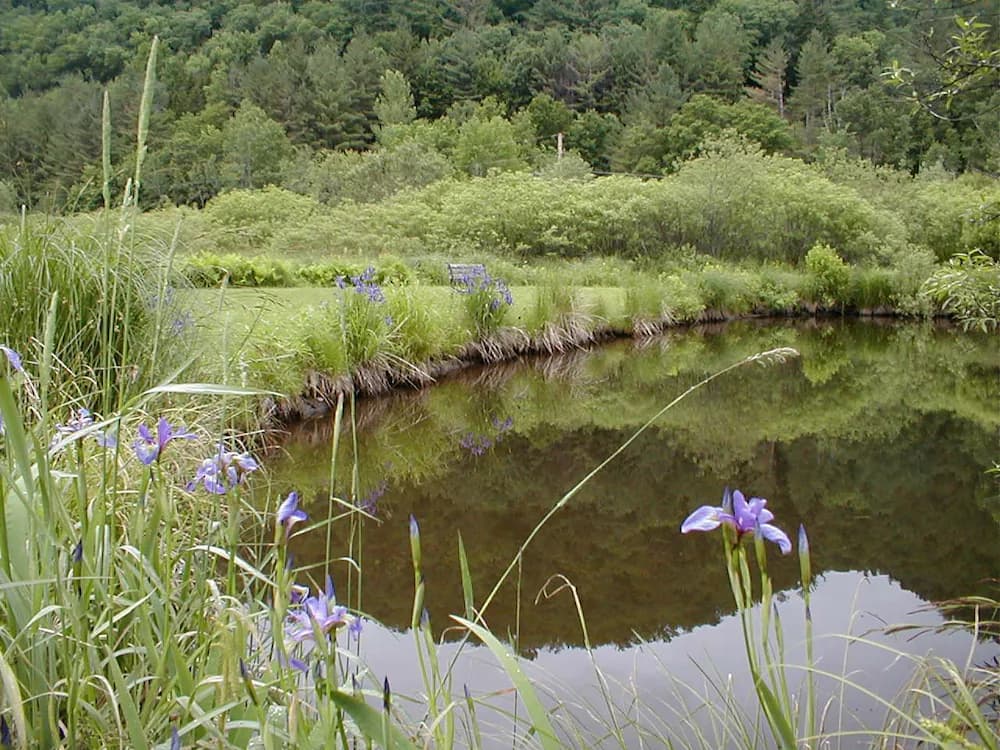 Lake