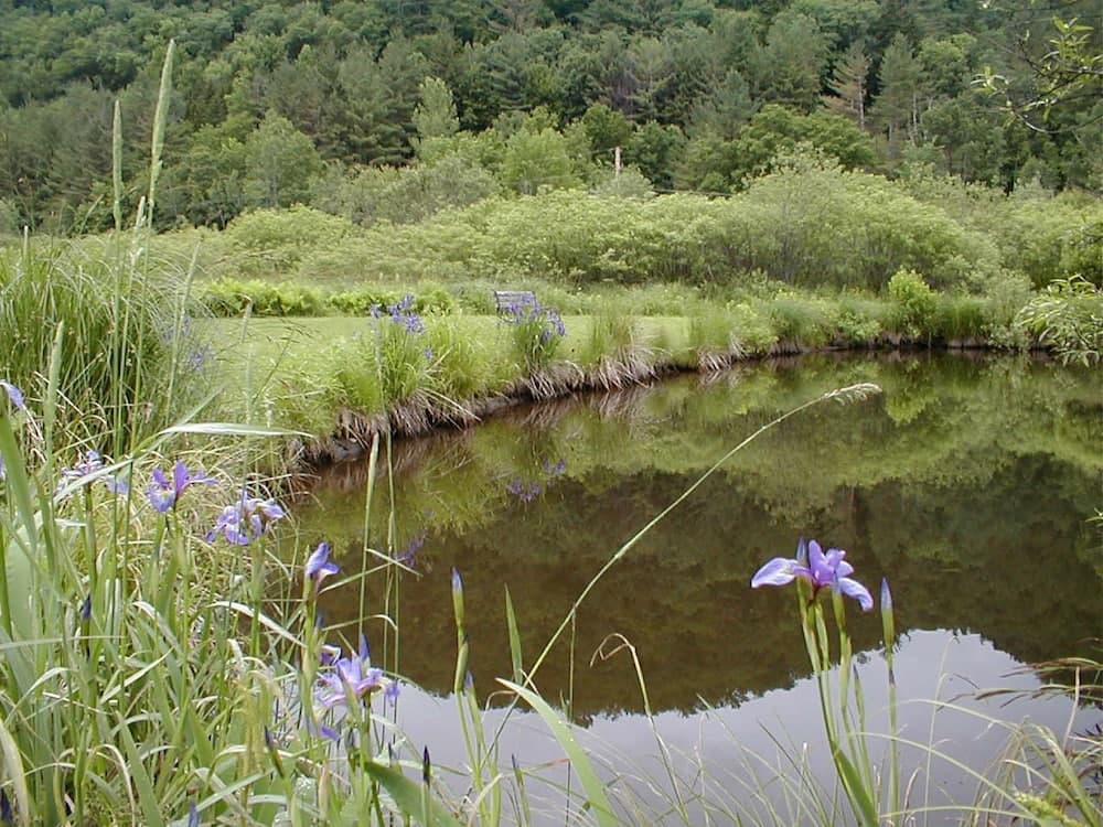 Lake