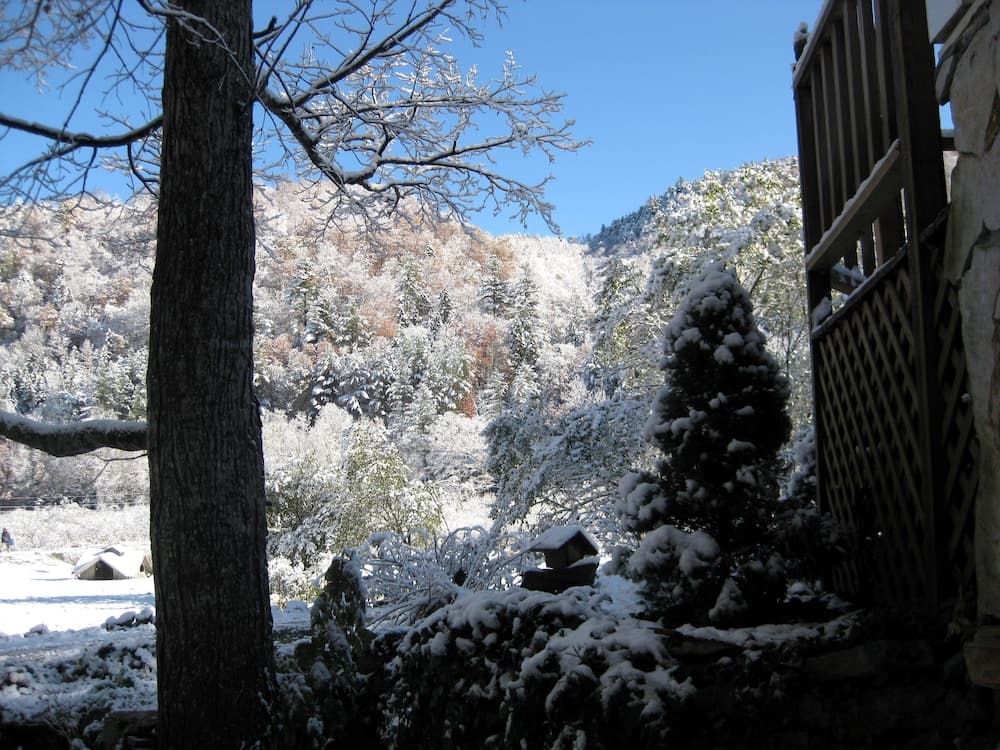 View from property