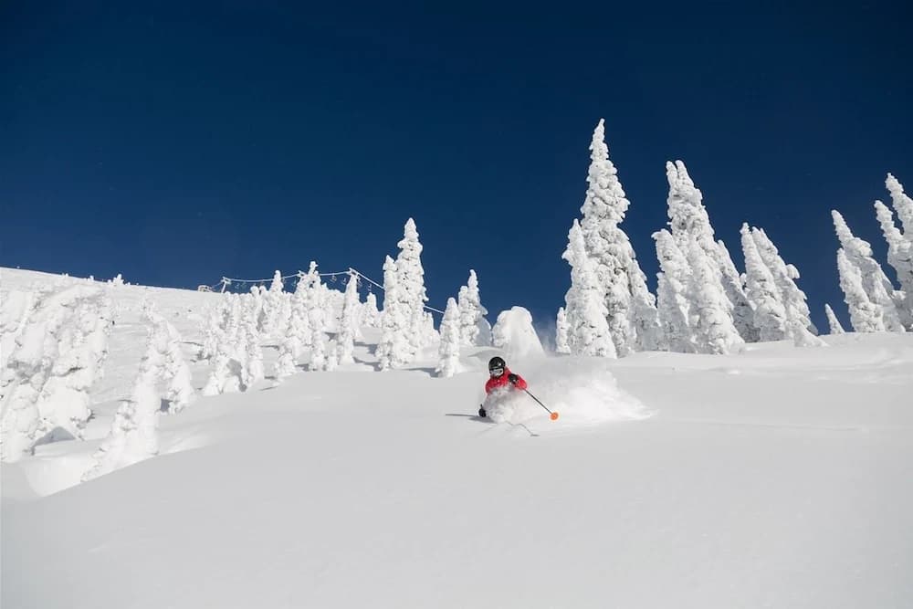 Snow and ski sports