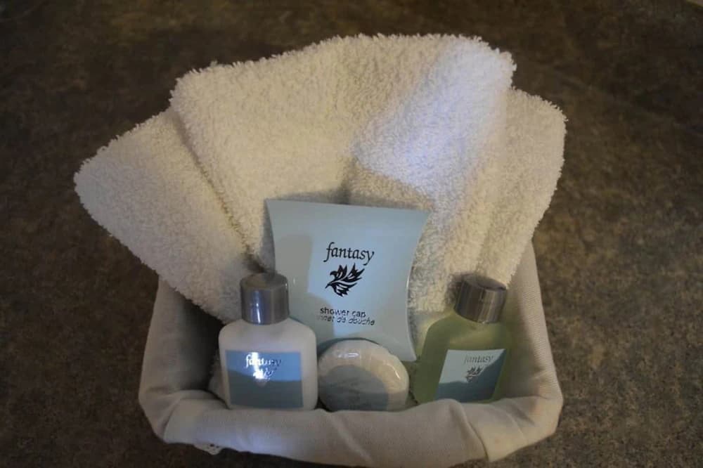 Bathroom amenities