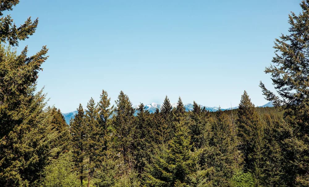 Mountain view