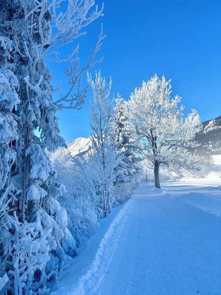 Snowshoeing
