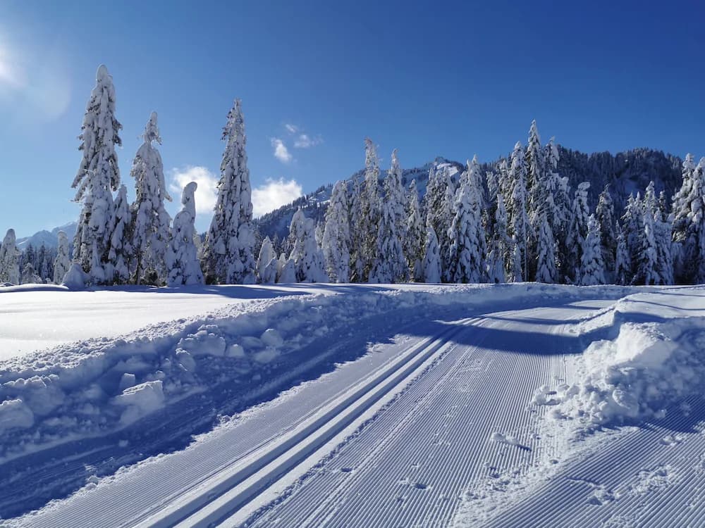 Snow and ski sports