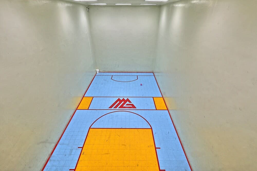 Sport court
