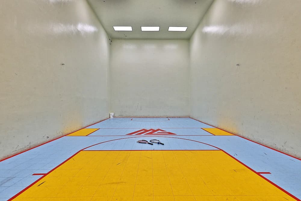 Sport court