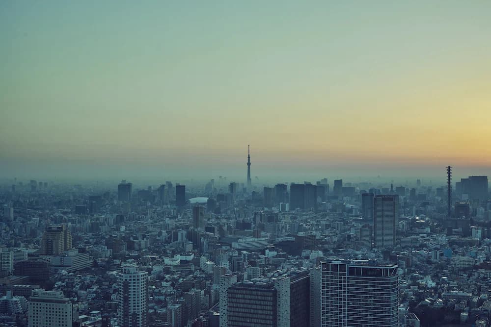 City view