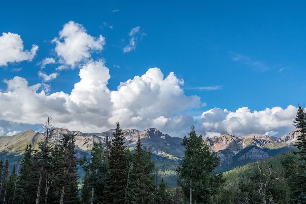 View from property