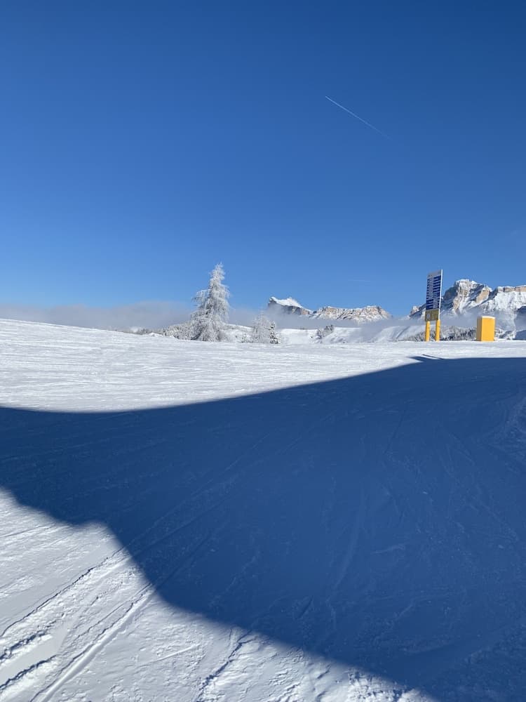 Skiing