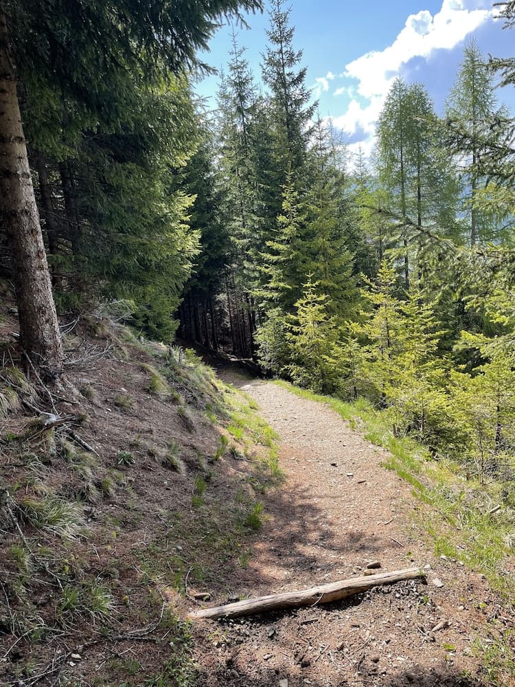 Hiking